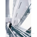 Convoyeur de passagers d&#39;escalator de 0,5 m / s